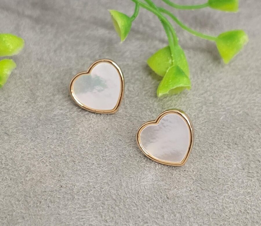 WhatsApp Image 2024-11-06 at 12.00.12